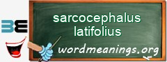 WordMeaning blackboard for sarcocephalus latifolius